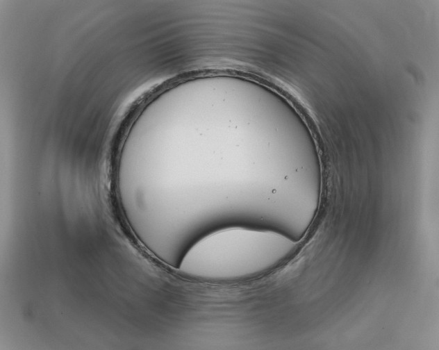 X0000113860979200909241022