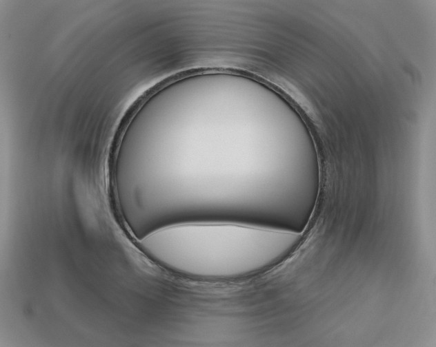 X0000113860980200909241022