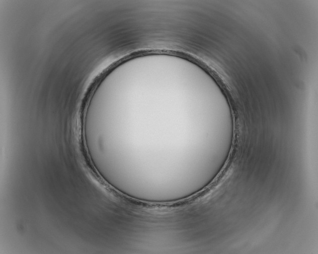 X0000113860982200909241022