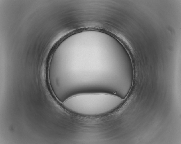 X0000113860983200909241022