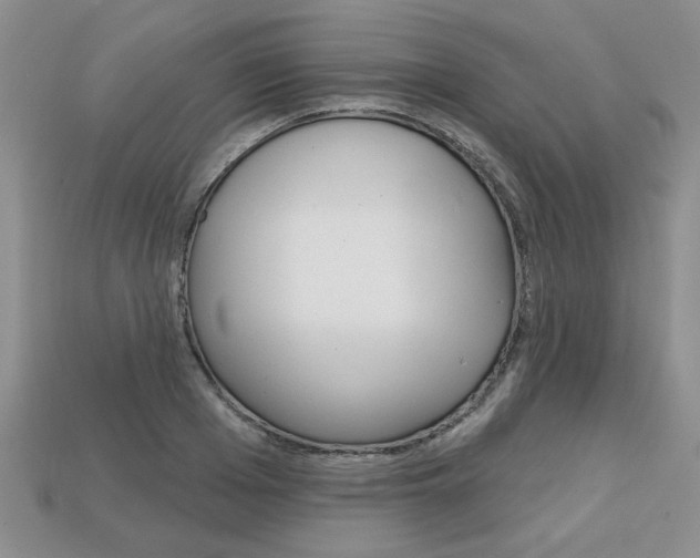 X0000113860985200909241022