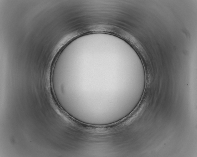 X0000113860986200909241022