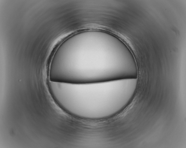 X0000113860987200909241022