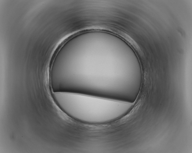 X0000113860988200909241022