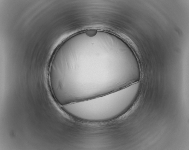 X0000113860989200909241022