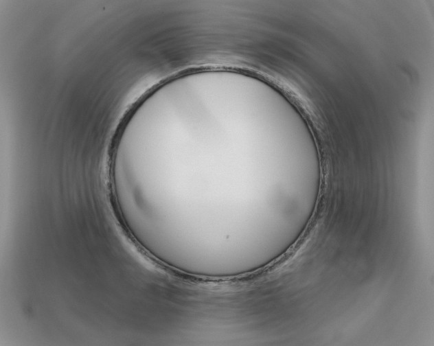 X0000113860990200909241022
