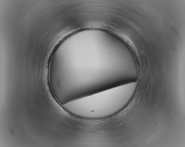 X0000113860992200909241022
