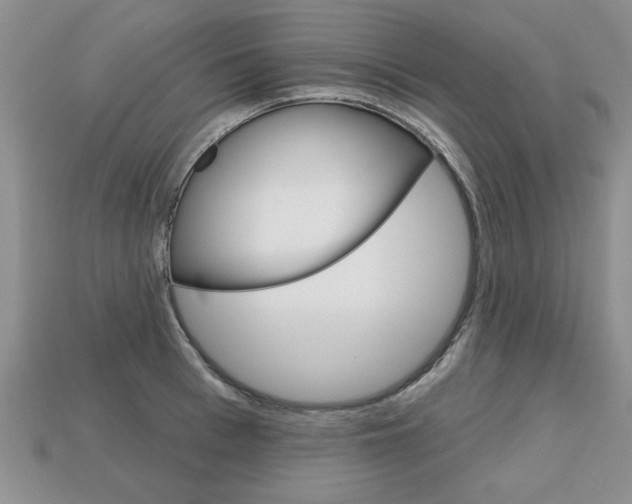 X0000113860993200909241022