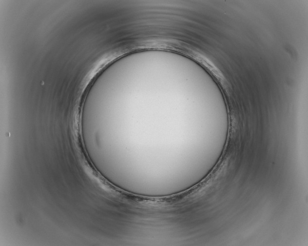 X0000113860994200909241022
