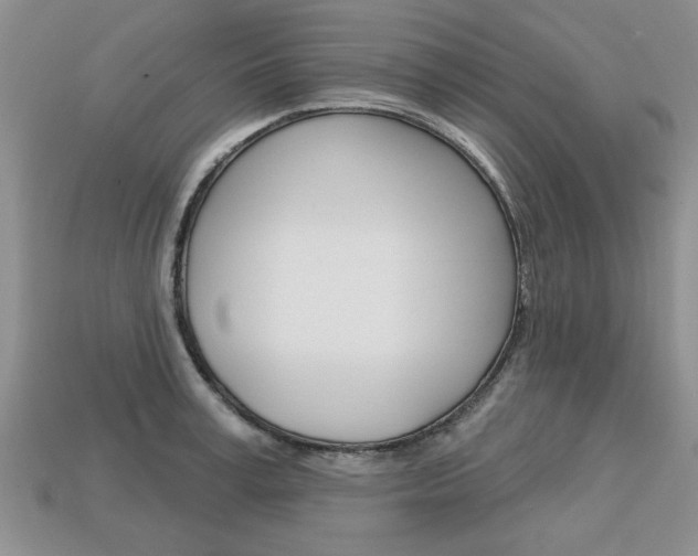 X0000113860995200909241022