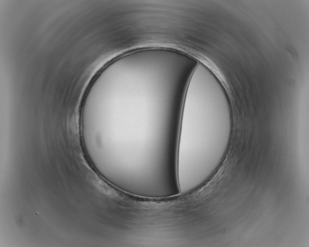 X0000113860996200909241022