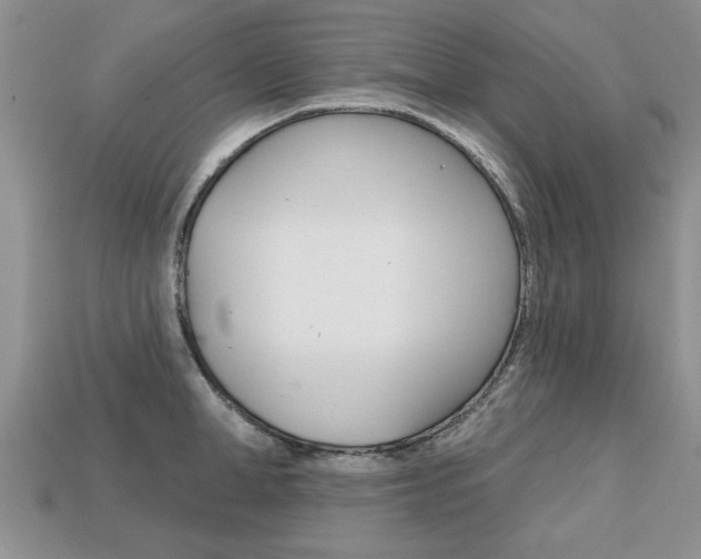 X0000113860998200909241022