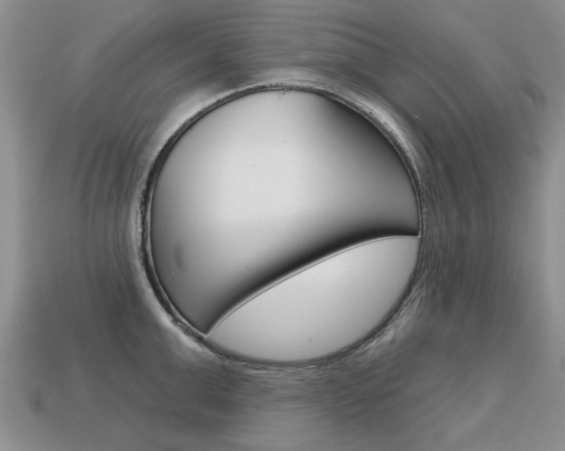 X0000113860999200909241022