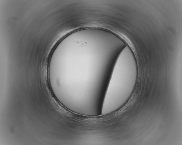 X0000113861000200909241022
