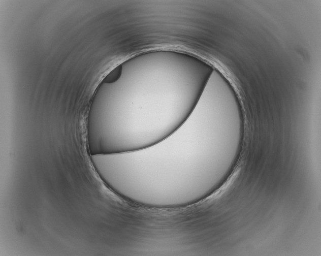 X0000113861001200909241022