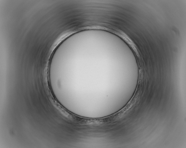 X0000113861002200909241022