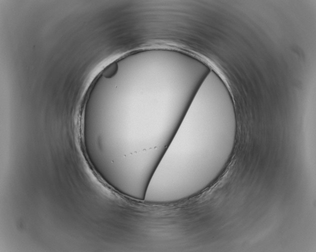 X0000113861003200909241022