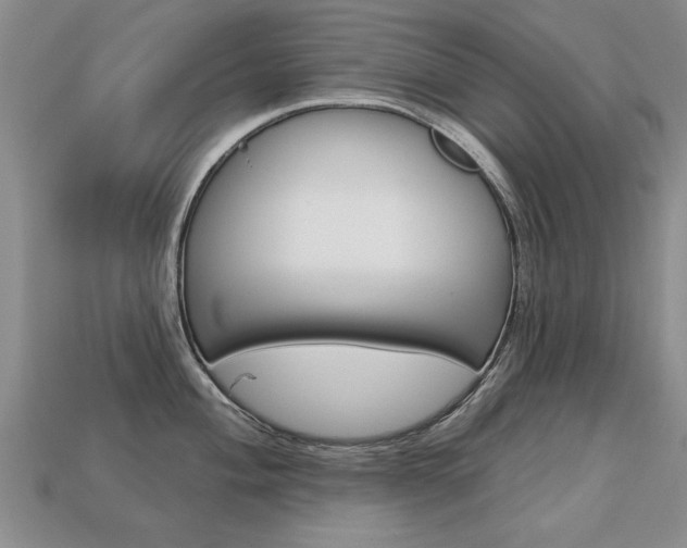 X0000113861004200909241022