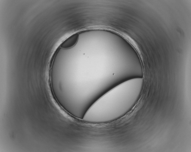 X0000113861005200909241022