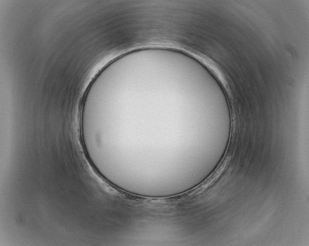 X0000113861006200909241022