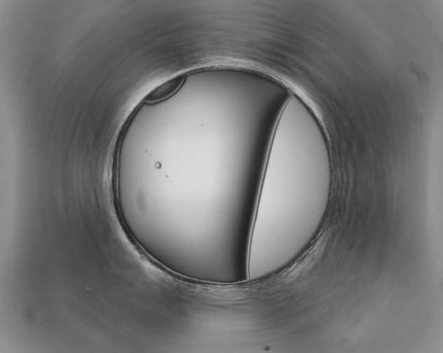 X0000113861007200909241021