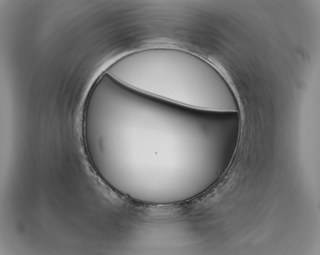 X0000113861008200909241021
