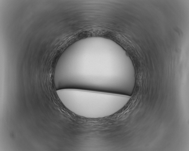 X0000113861010200909241021