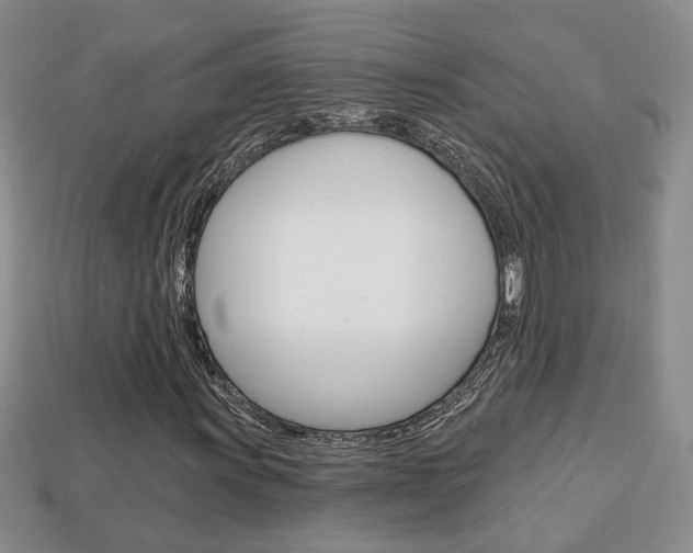 X0000113861011200909241021