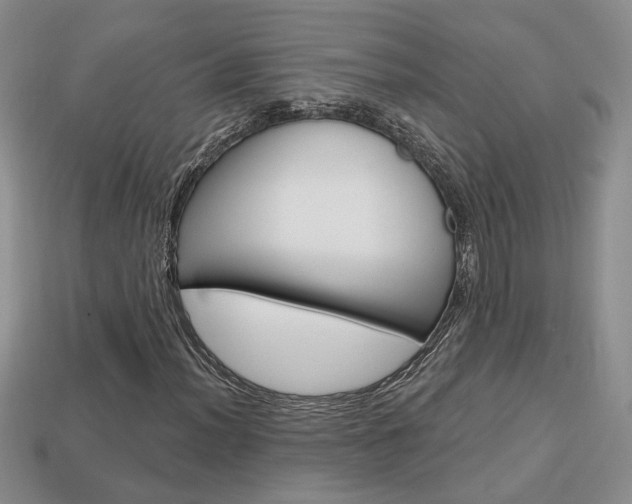 X0000113861012200909241021