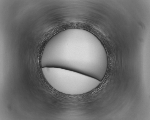X0000113861013200909241021