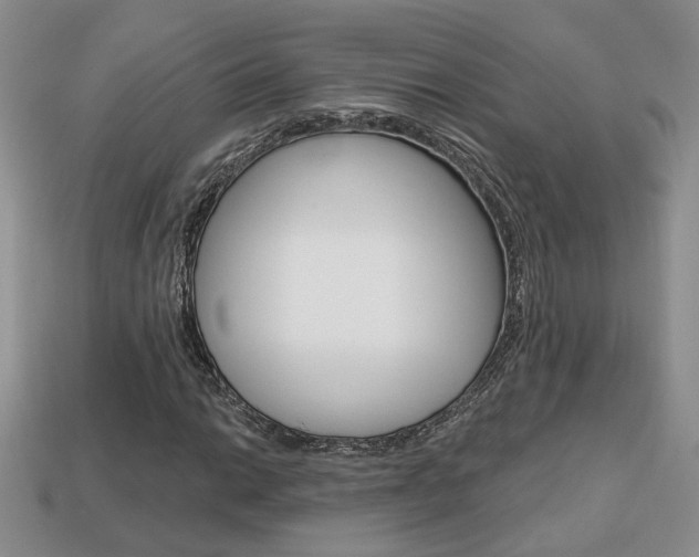 X0000113861014200909241021