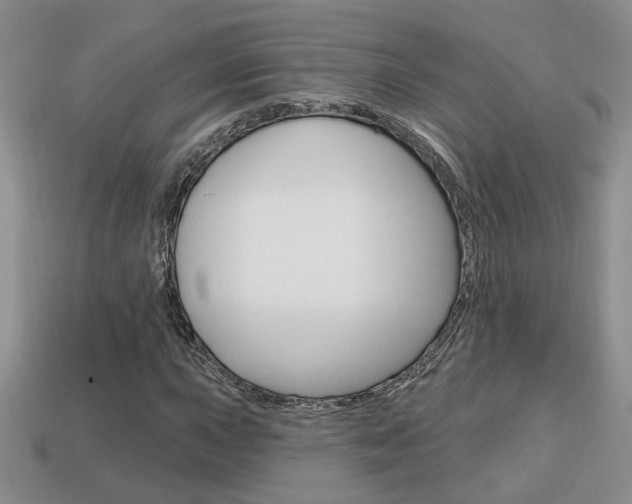 X0000113861015200909241021