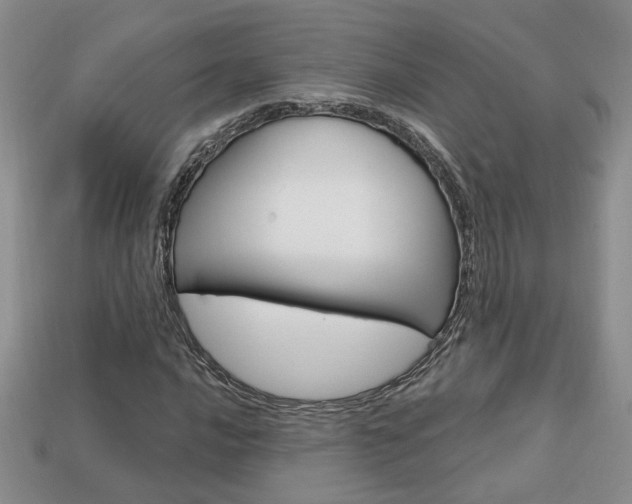 X0000113861016200909241021