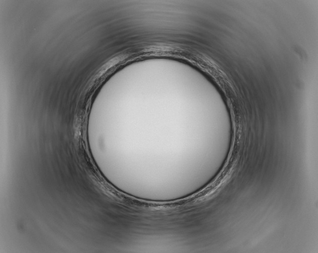 X0000113861017200909241021