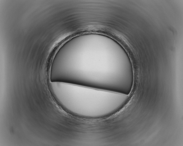 X0000113861018200909241021
