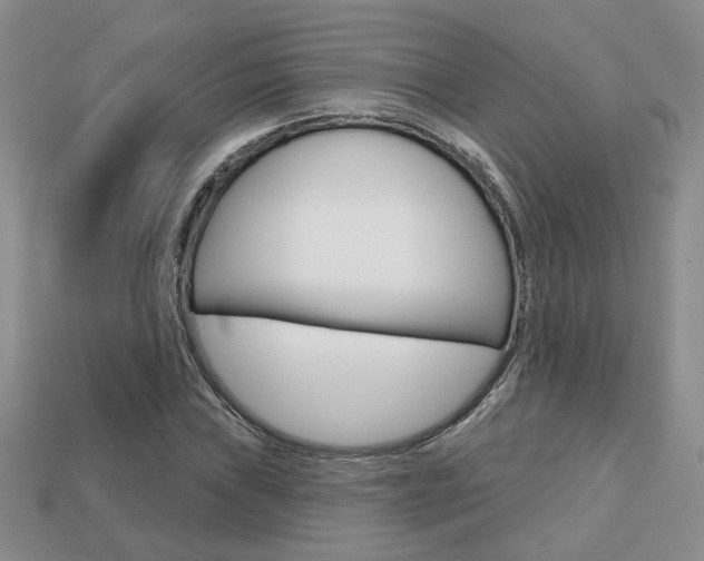 X0000113861019200909241021