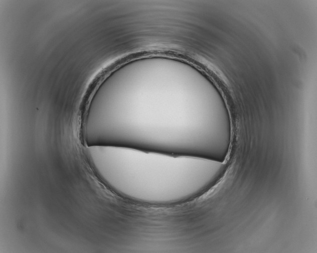 X0000113861021200909241021