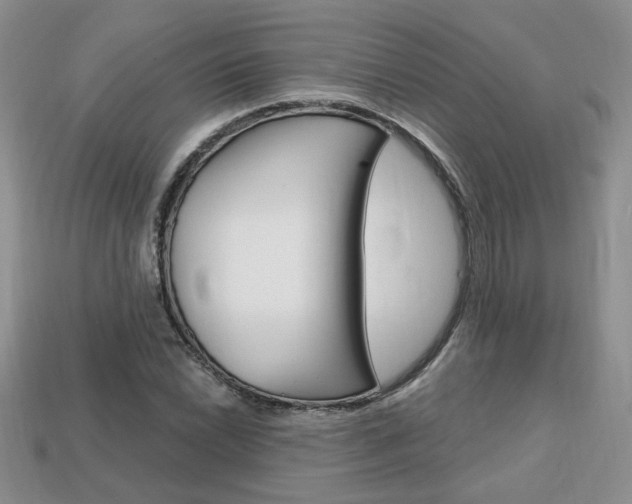 X0000113861022200909241021
