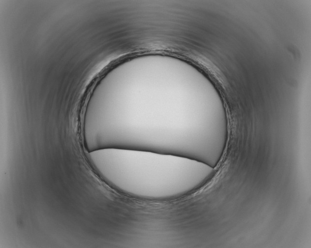 X0000113861023200909241021