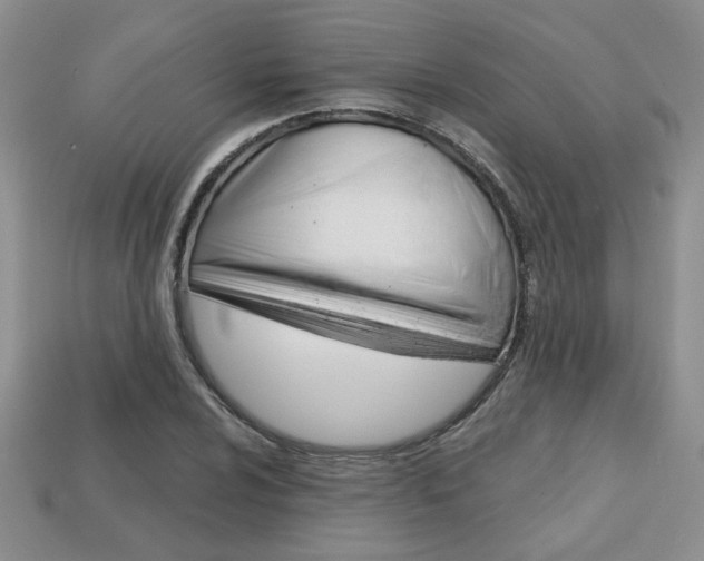 X0000113861024200909241021