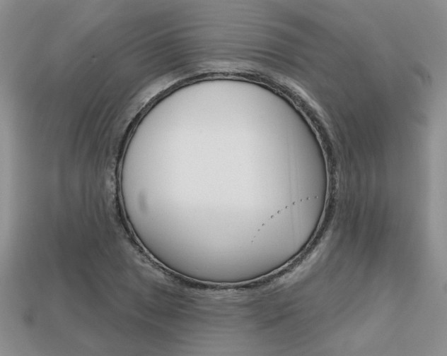 X0000113861025200909241021