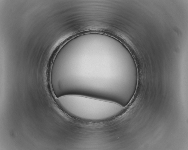 X0000113861026200909241021