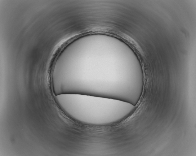 X0000113861027200909241021