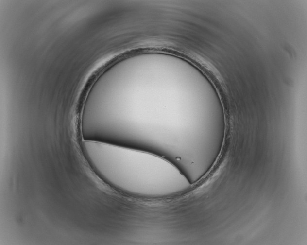 X0000113861029200909241021