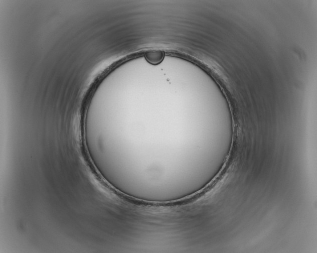 X0000113861030200909241021