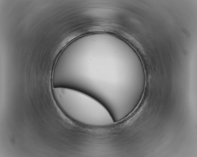 X0000113861033200909241021