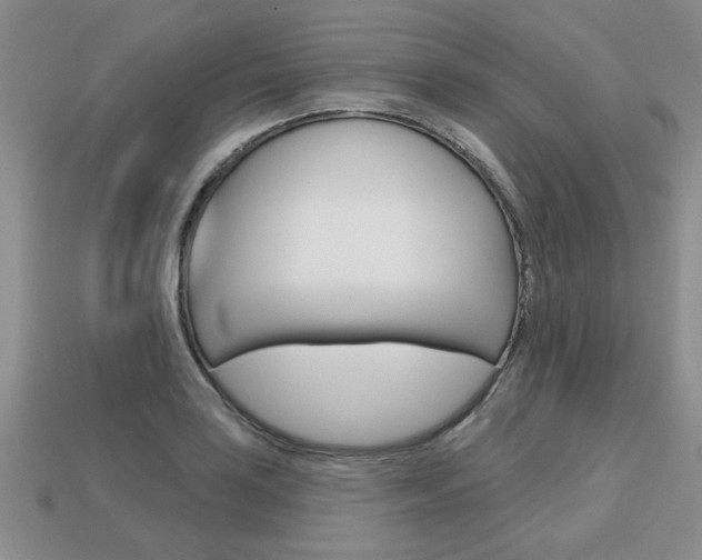 X0000113861035200909241021