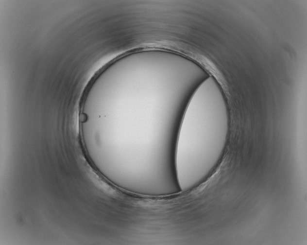 X0000113861036200909241021