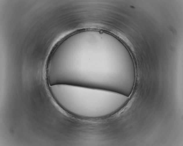 X0000113861037200909241021