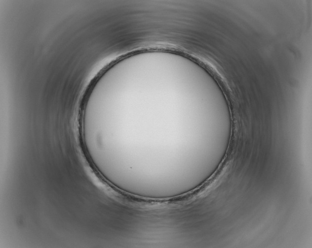 X0000113861038200909241021